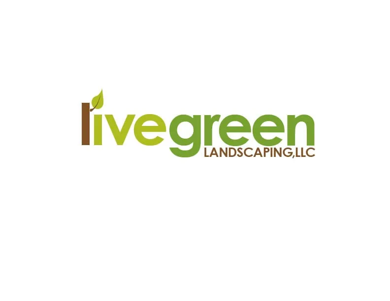 Affordable yard cleanup service experts serving Grosse Pointe, MI - Live Green Landscaping