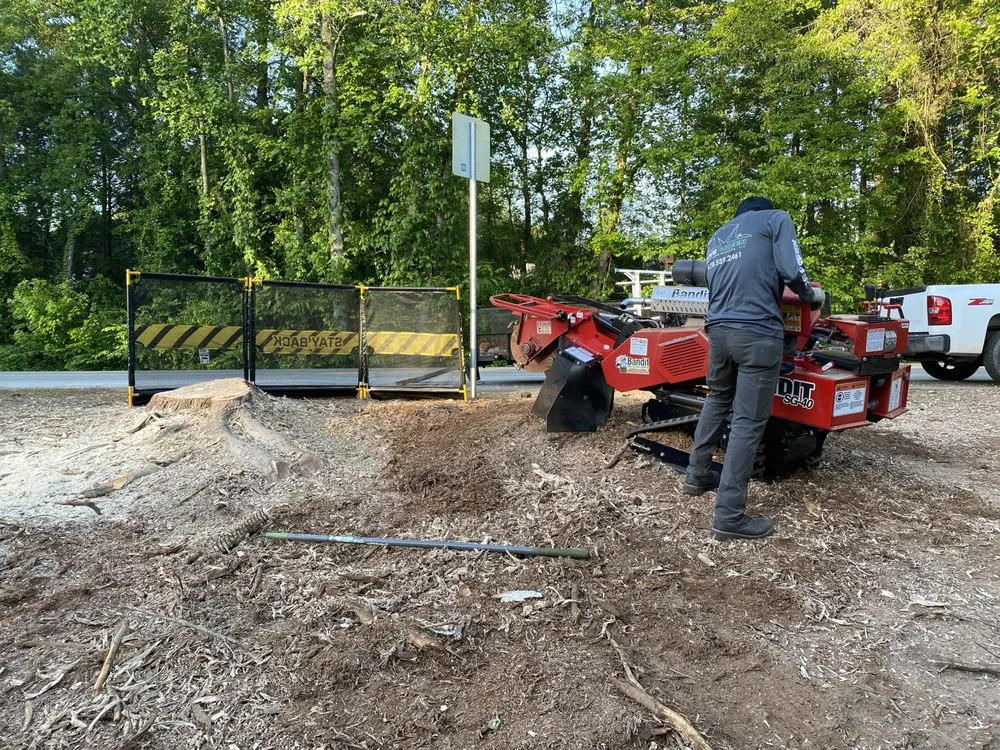 Custom yard cleanup service experts serving Lilburn, GA - Live Green Tree Service