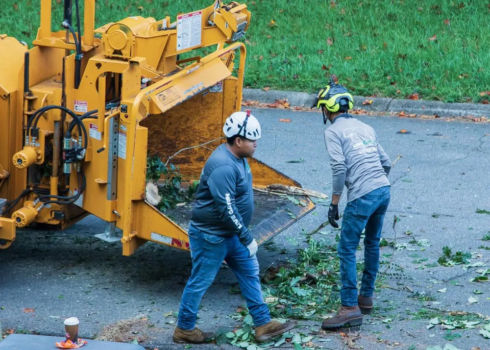 Top-rated garden landscaping in Lilburn, GA - Live Green Tree Service