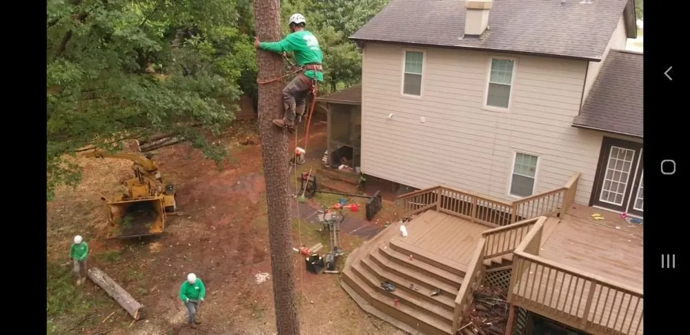 Affordable yard cleanup service in Lilburn, GA by Live Green Tree Service