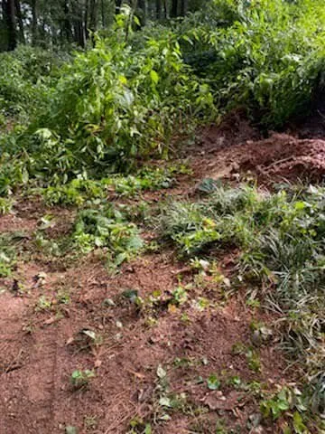 Top-rated landscape design in Lilburn, GA by Live Green Tree Service