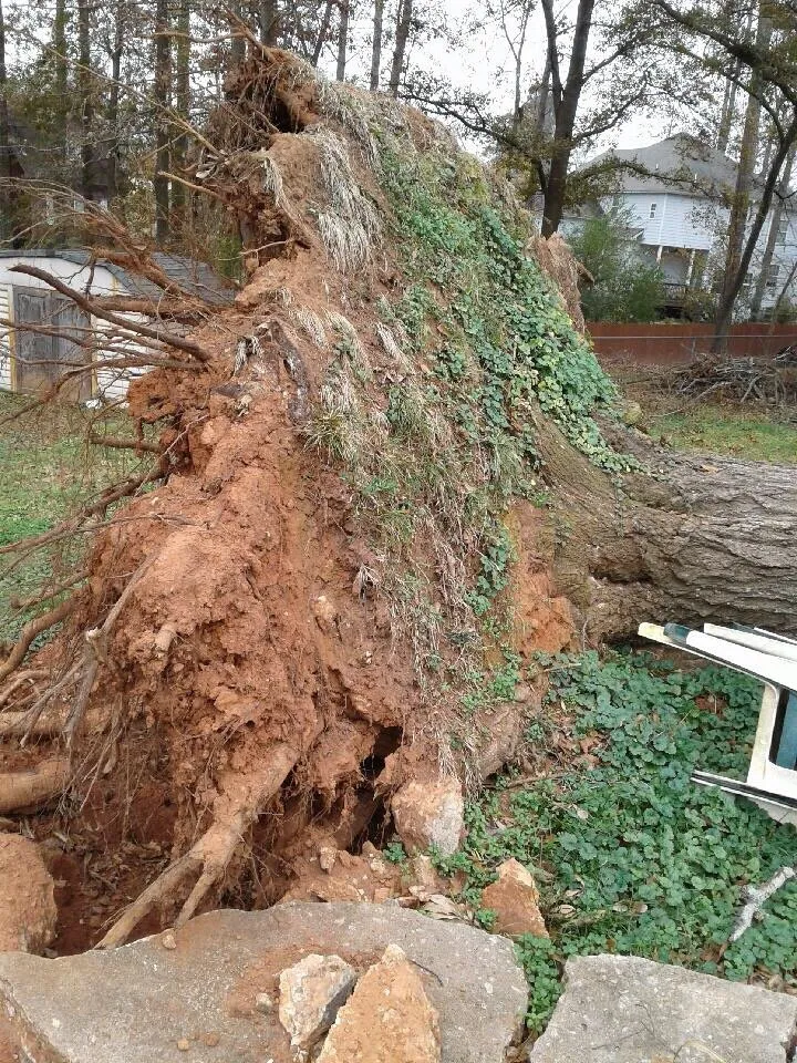 Top-rated garden landscaping for homes in Lilburn, GA by Live Green Tree Service