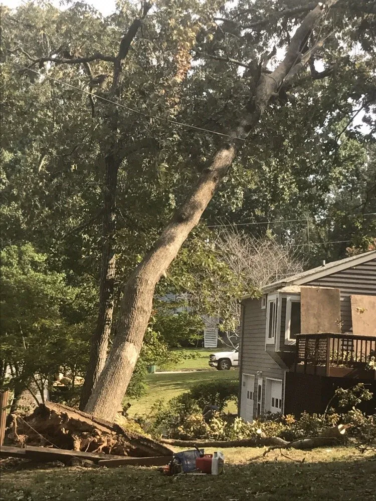 Top-rated residential landscaping in Lilburn, GA by Live Green Tree Service