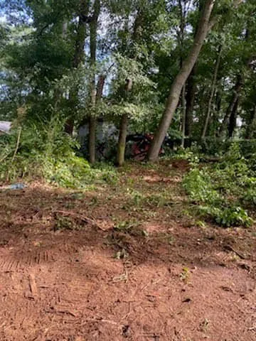 Top-rated garden landscaping in Lilburn, GA - Live Green Tree Service