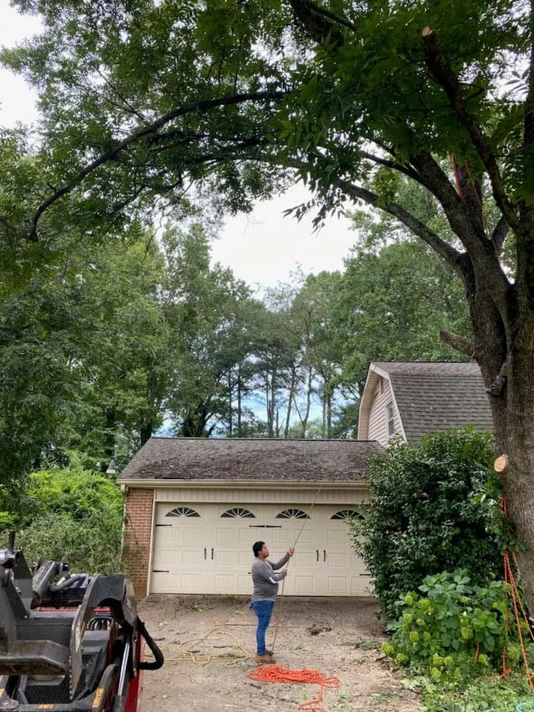 Top-rated outdoor landscaping experts serving Lilburn, GA - Live Green Tree Service