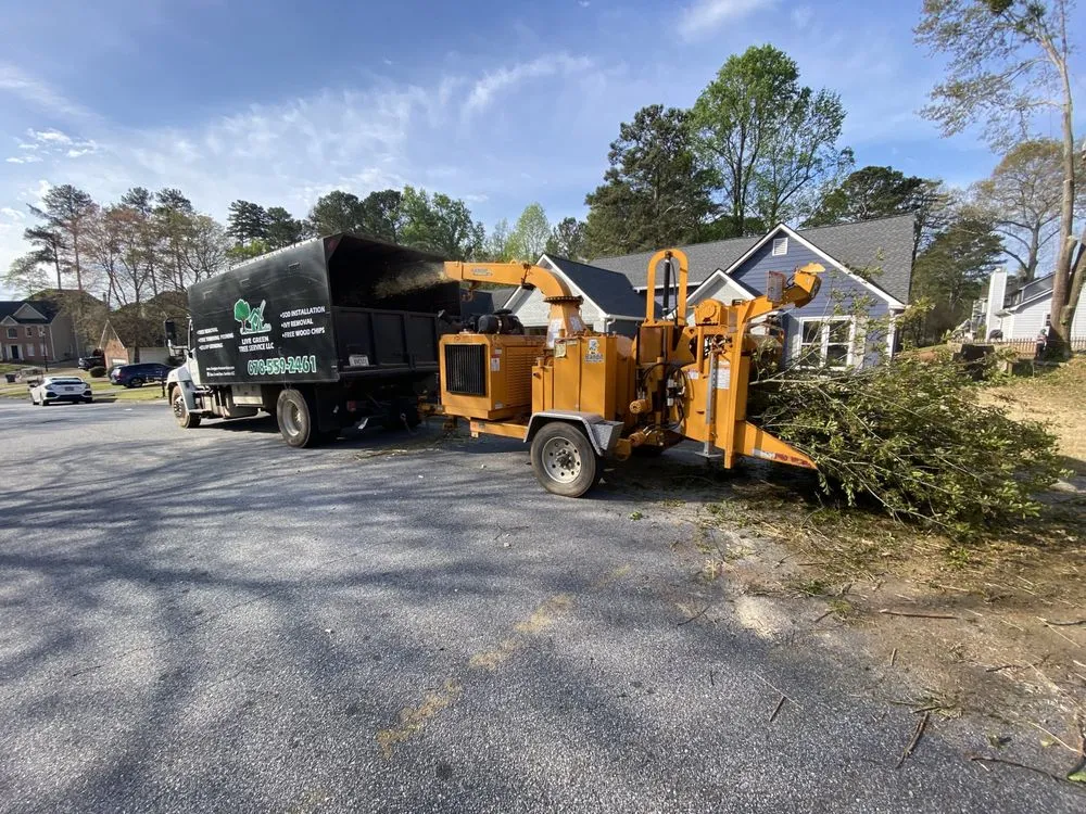 Top-rated yard cleanup service in Lilburn, GA - Live Green Tree Service