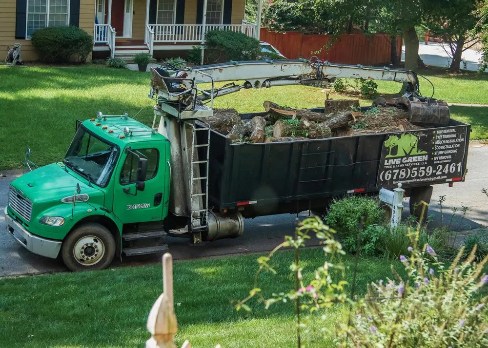 Local garden landscaping for beautiful yards across Lilburn, GA - Live Green Tree Service