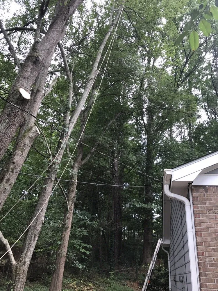 Affordable landscaping services in Lilburn, GA by Live Green Tree Service