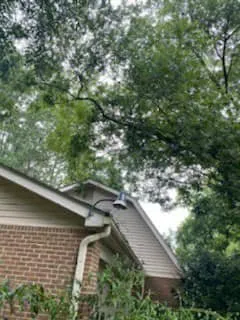 Professional yard cleanup service near you in Lilburn, GA by Live Green Tree Service