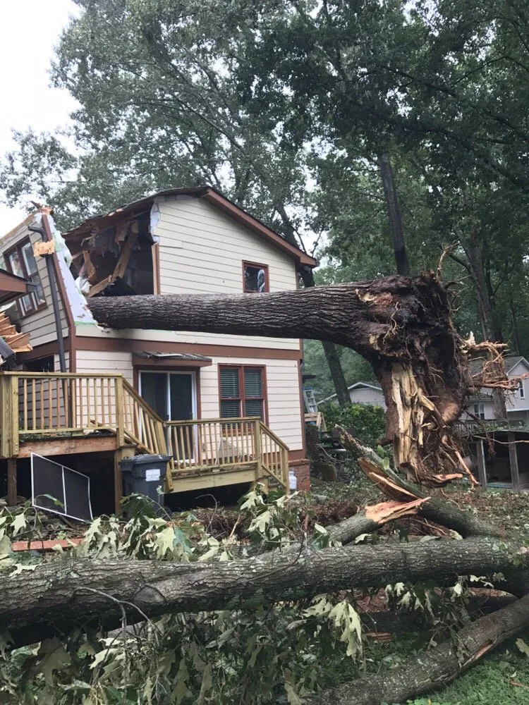 Trusted lawn care service for beautiful yards in Lilburn, GA by Live Green Tree Service