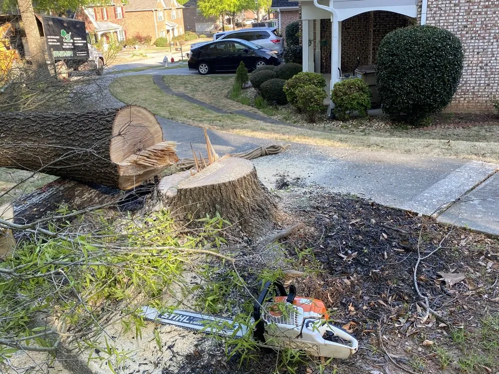 Expert landscape installation in Lilburn, GA - Live Green Tree Service
