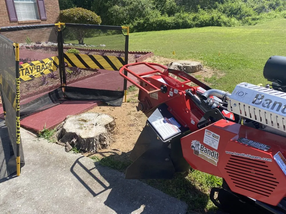 Top-rated yard maintenance for year-round maintenance in Lilburn, GA by Live Green Tree Service