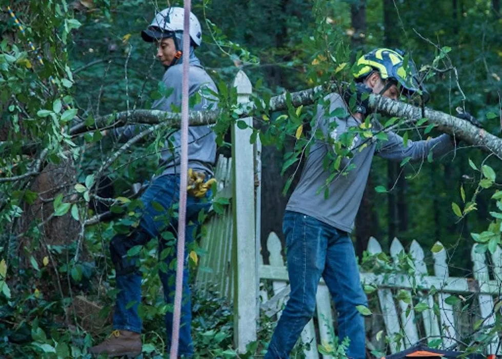 Local outdoor landscaping in Lilburn, GA - Live Green Tree Service