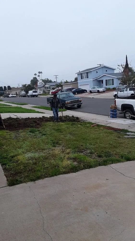 Affordable landscape design in Imperial Beach, CA by Live Green Turf Landscaping