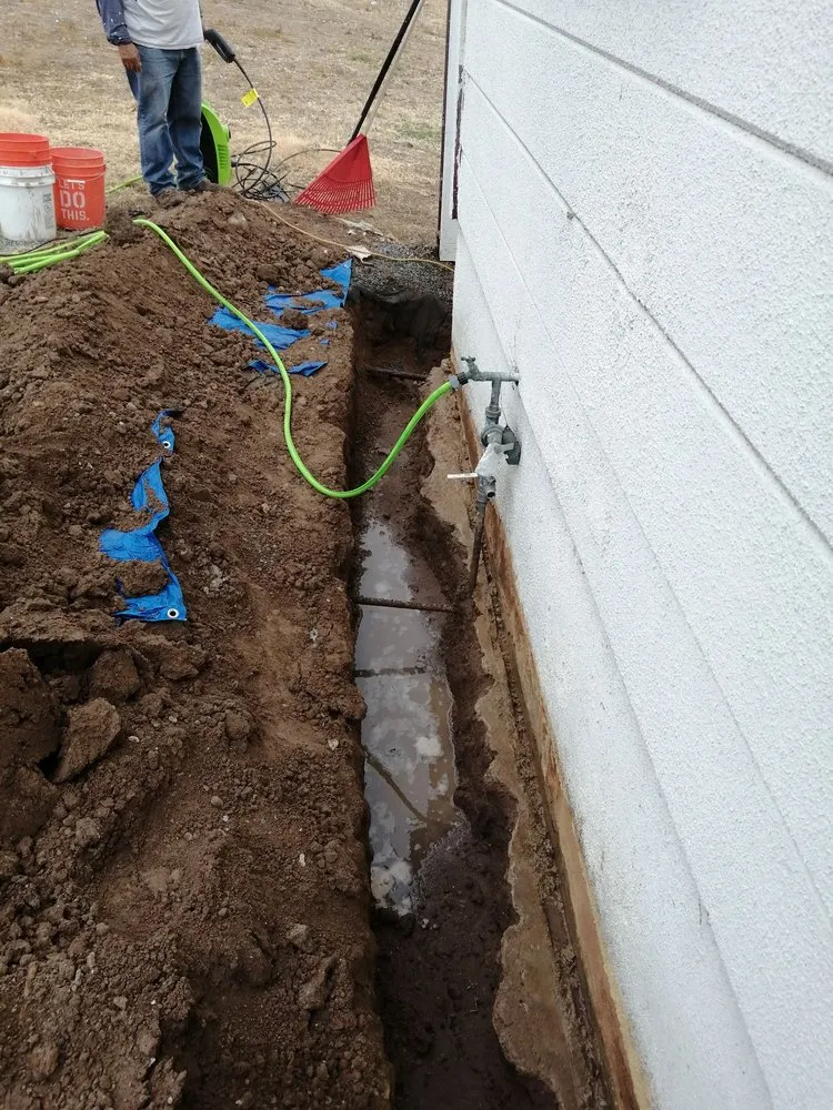 Top-rated residential landscaping in Imperial Beach, CA - Live Green Turf Landscaping