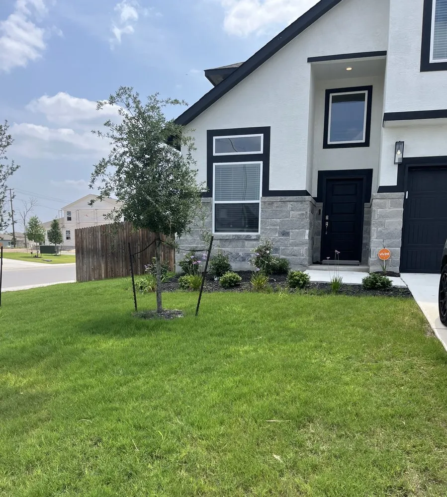 Expert lawn mowing service in New Braunfels, TX by Live Laugh and Lawn