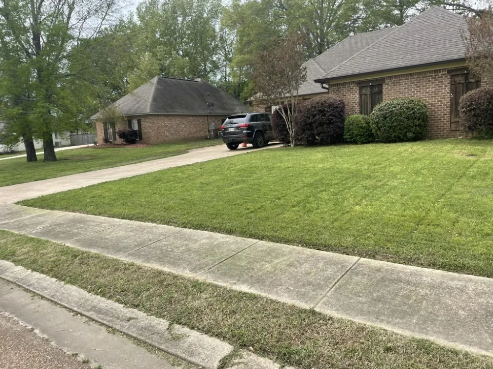 Expert lawn mowing service with custom design in Crystal Springs, MS by Live Lawn & Prosper