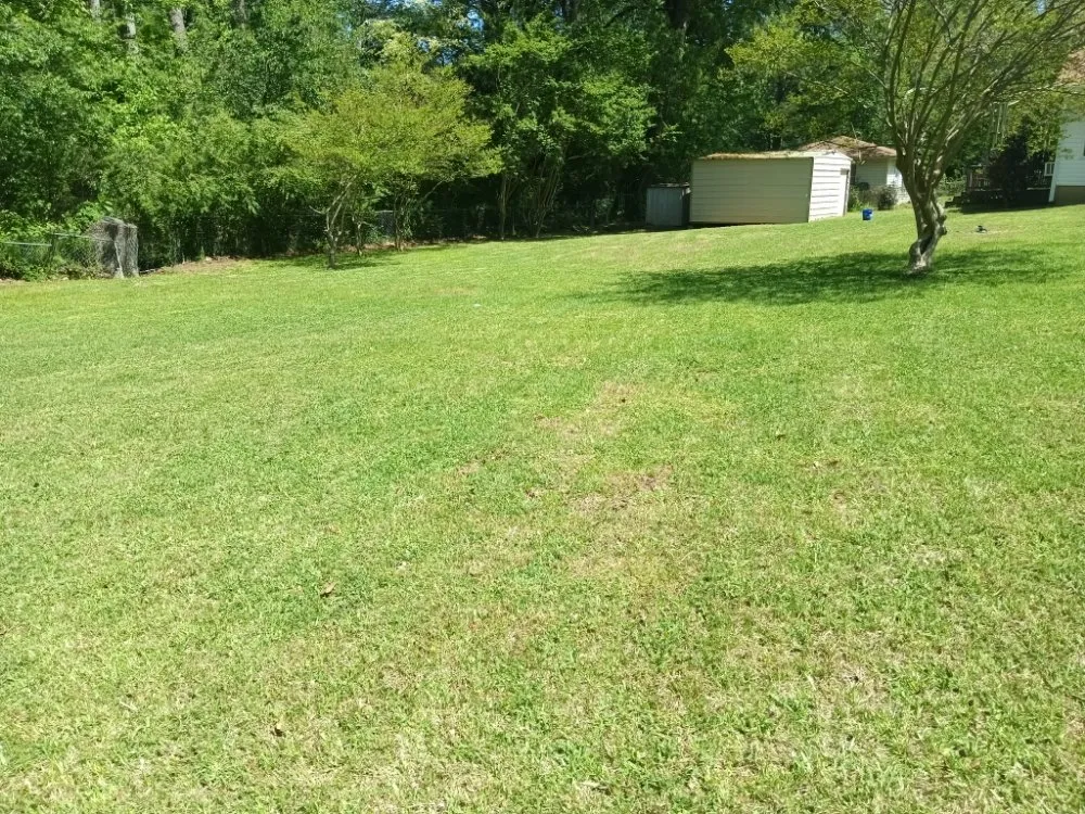 Top-rated landscape installation experts serving Crystal Springs, MS - Live Lawn & Prosper