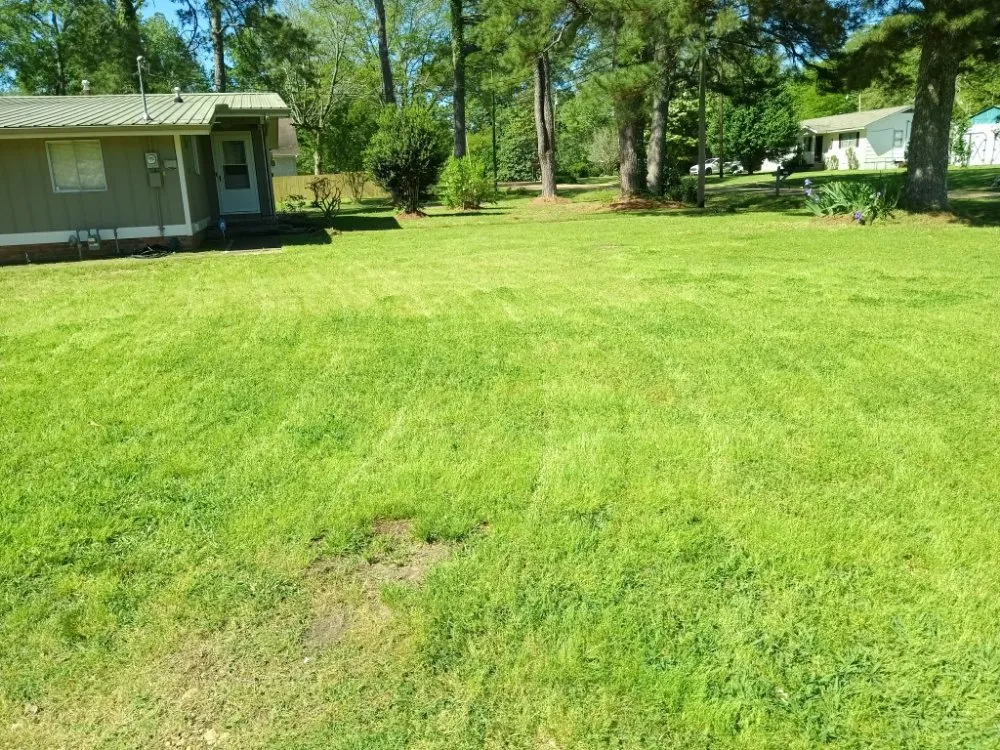 Reliable landscaping services in Crystal Springs, MS - Live Lawn & Prosper