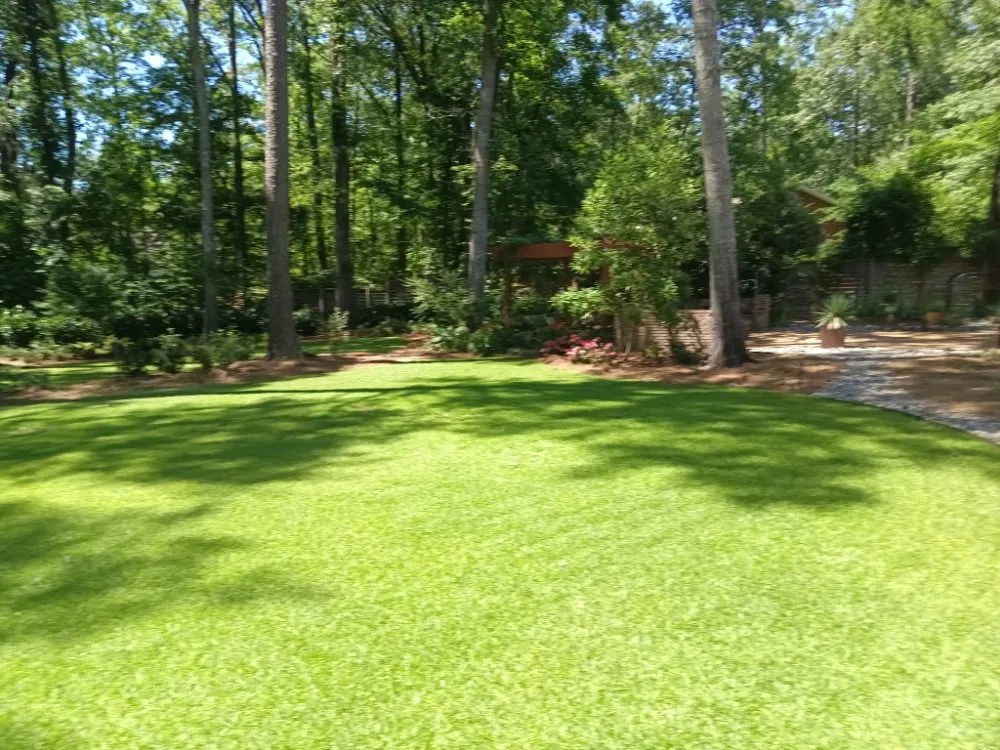 Trusted lawn care service in Crystal Springs, MS - Live Lawn & Prosper