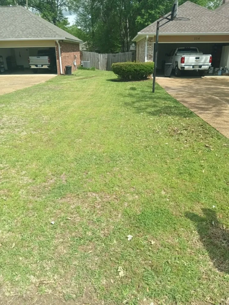 Expert garden landscaping with custom design across Crystal Springs, MS - Live Lawn & Prosper