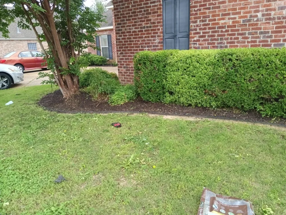 Trusted landscape design in Crystal Springs, MS - Live Lawn & Prosper