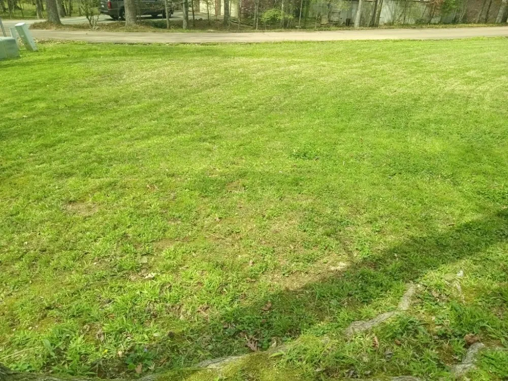 Trusted yard maintenance experts serving Crystal Springs, MS - Live Lawn & Prosper