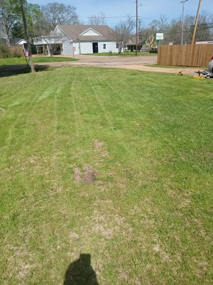 Custom garden landscaping in Crystal Springs, MS by Live Lawn & Prosper