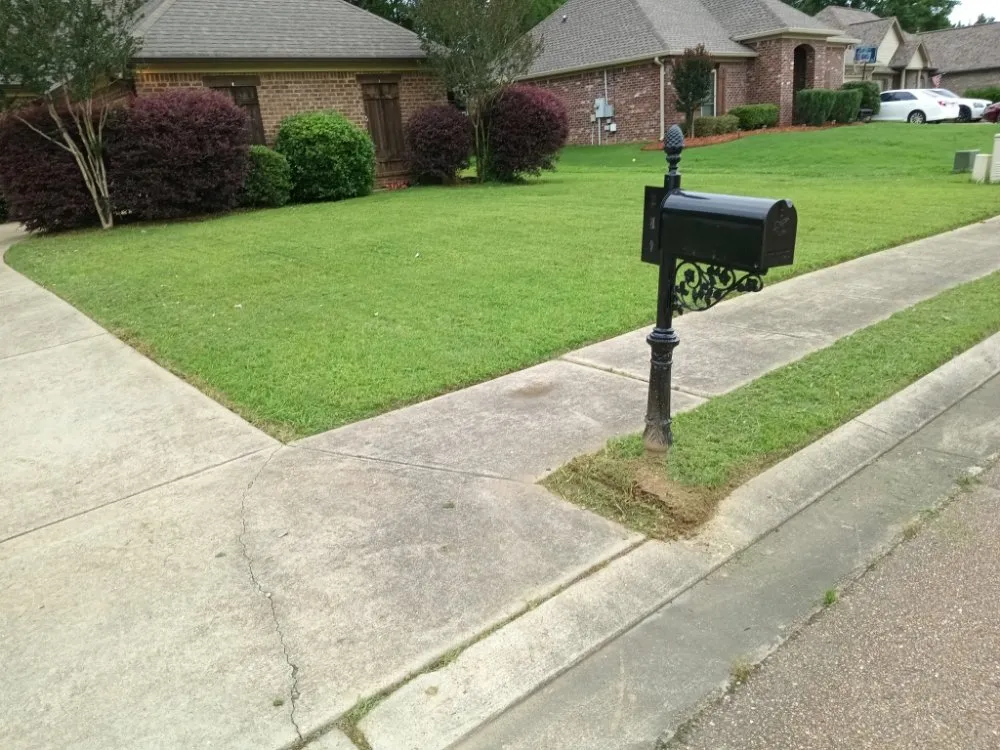 Affordable yard maintenance experts serving Crystal Springs, MS - Live Lawn & Prosper