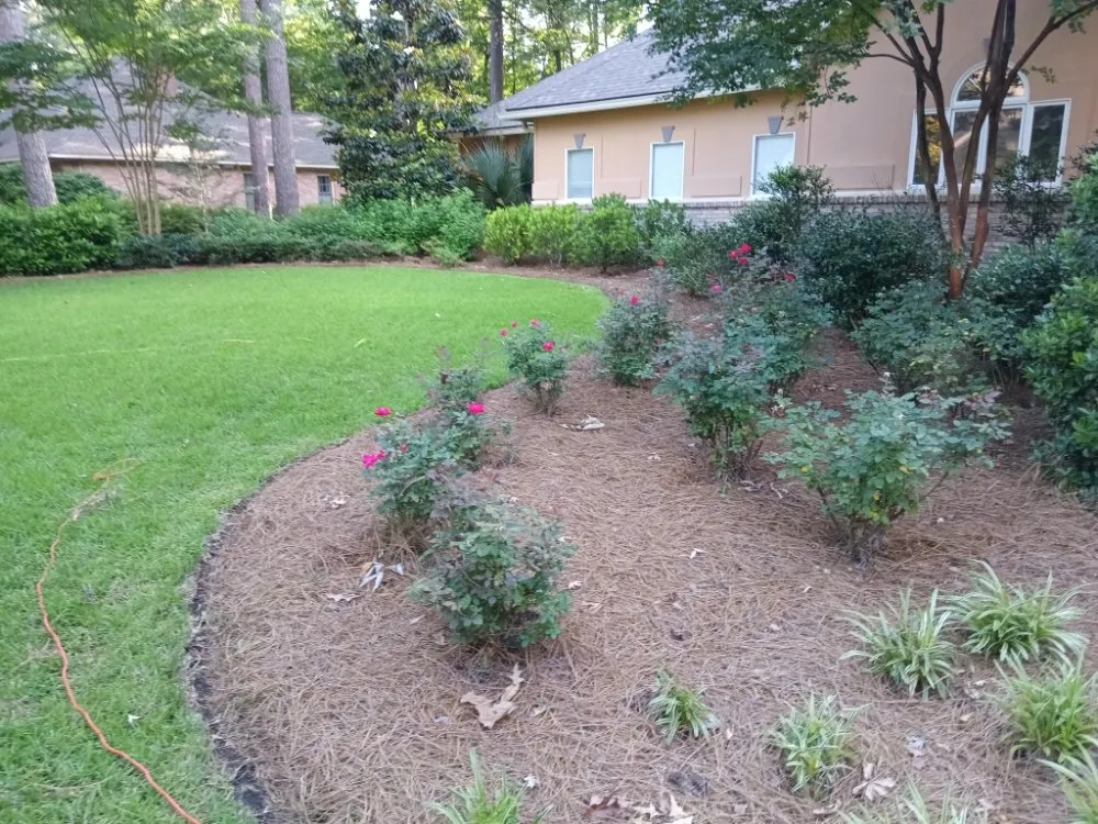 Affordable landscape design near you across Crystal Springs, MS - Live Lawn & Prosper