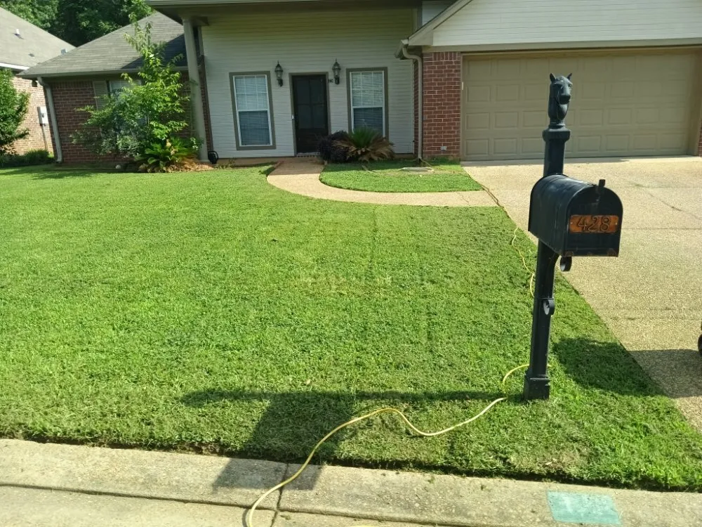 Affordable yard cleanup service with custom design across Crystal Springs, MS - Live Lawn & Prosper