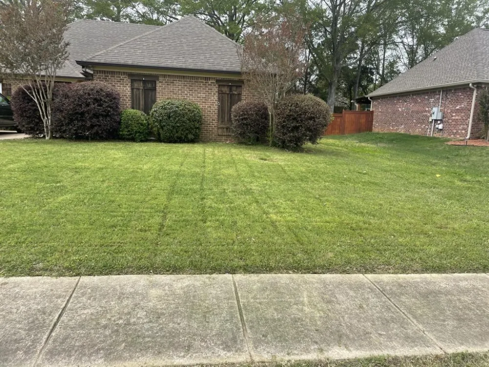 Reliable lawn care service experts serving Crystal Springs, MS - Live Lawn & Prosper