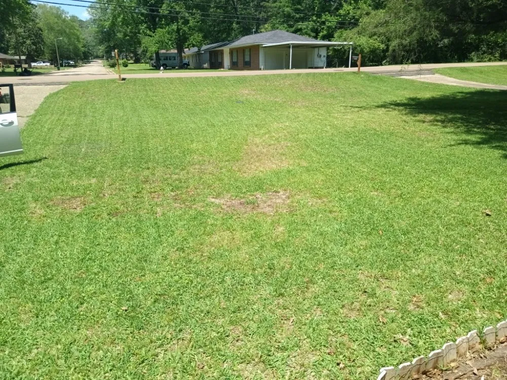 Professional outdoor landscaping for year-round maintenance in Crystal Springs, MS by Live Lawn & Prosper