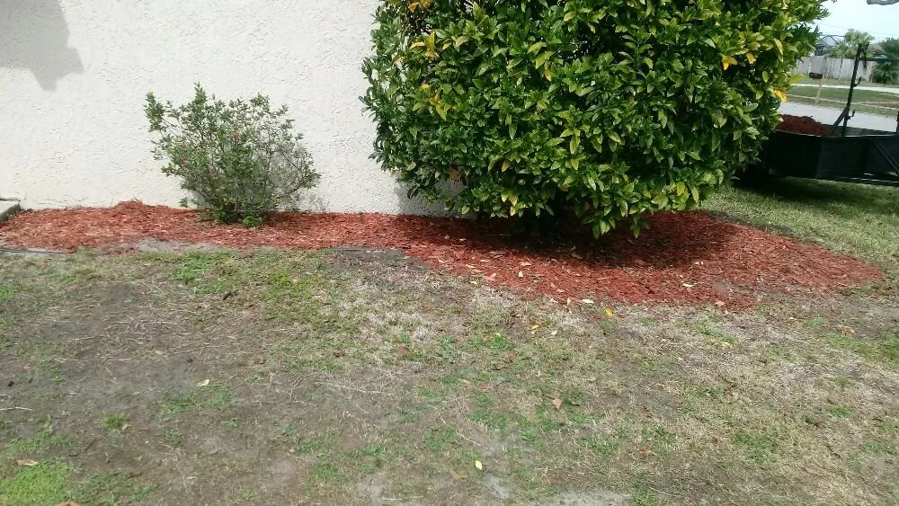 Professional lawn care service in Mims, FL - Live Love Grow From the Ground Up