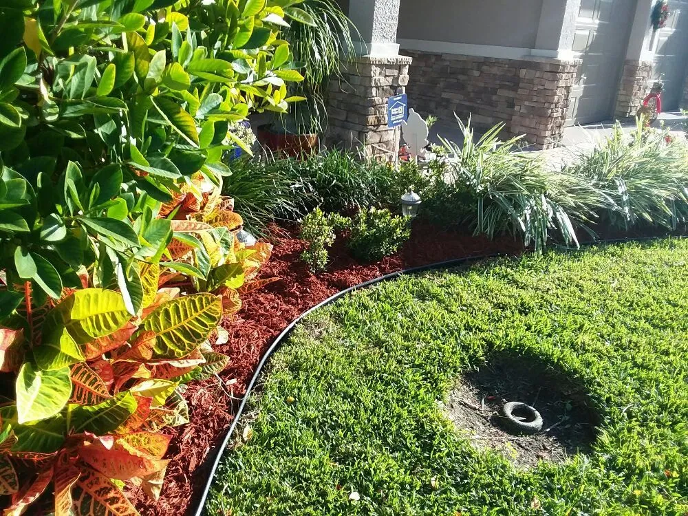 Local yard maintenance in Mims, FL - Live Love Grow From the Ground Up