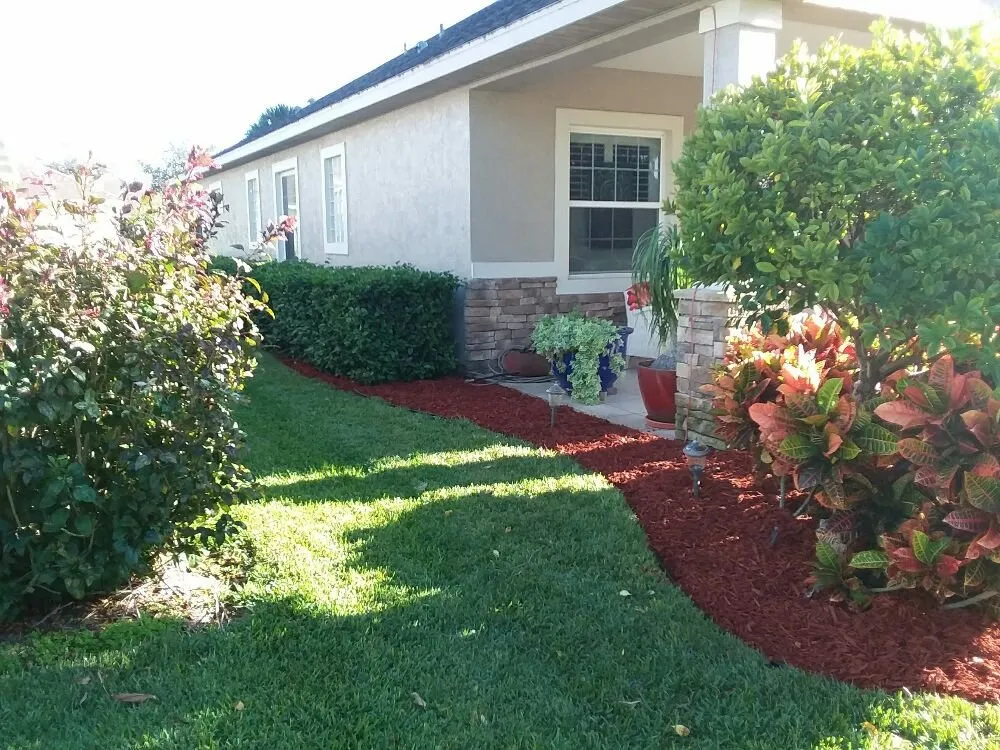 Trusted landscaping services experts serving Mims, FL - Live Love Grow From the Ground Up
