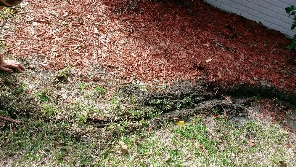 Professional lawn care service experts serving Mims, FL - Live Love Grow From the Ground Up