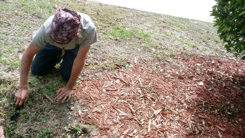 Trusted landscape installation for year-round maintenance across Mims, FL - Live Love Grow From the Ground Up