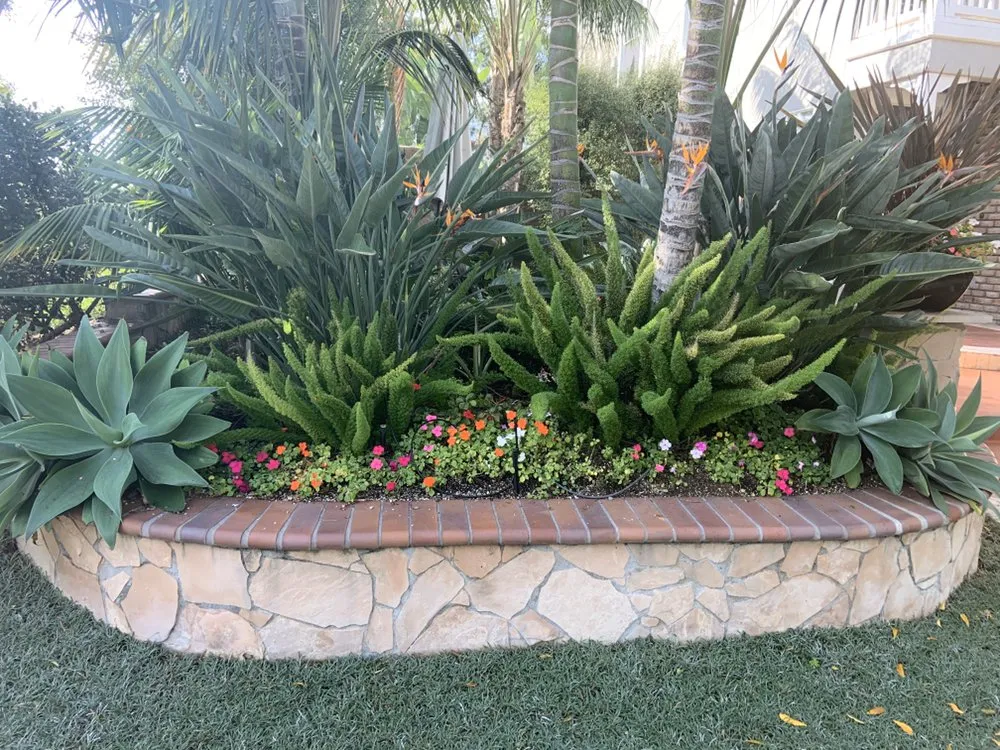 Local garden landscaping for outdoor upgrades in Ladera Ranch, CA by Live Oak Landscape and Maintenance