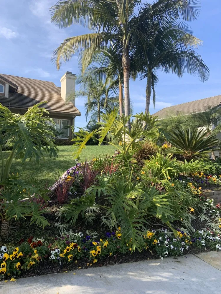 Local garden landscaping near you across Ladera Ranch, CA - Live Oak Landscape and Maintenance