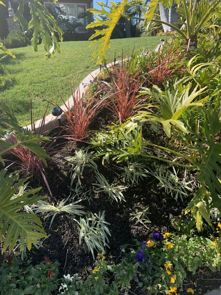 Professional outdoor landscaping experts serving Ladera Ranch, CA - Live Oak Landscape and Maintenance