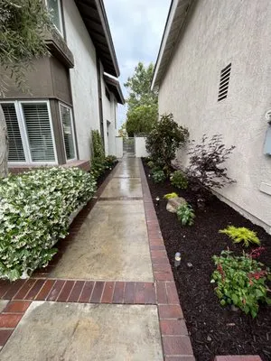 Live Oak Landscape and Maintenance