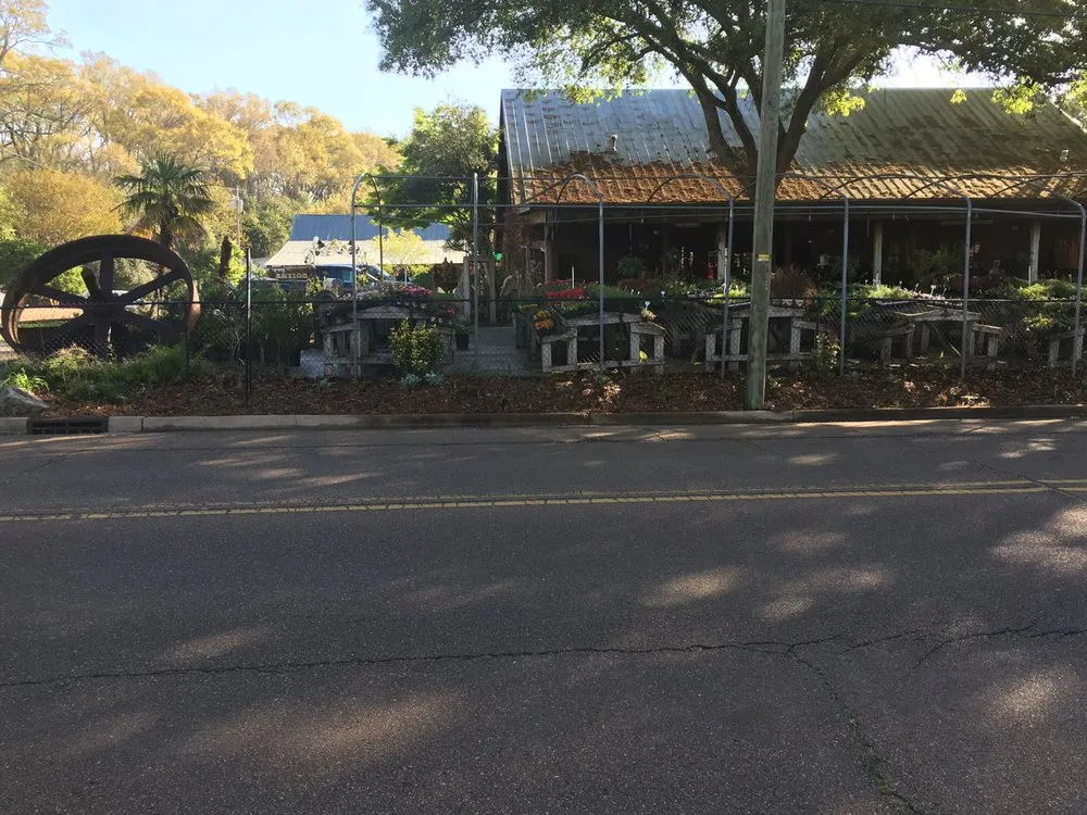 Trusted yard cleanup service in Natchez, MS - Live Oak Landscapes, Nursery & Garden Center