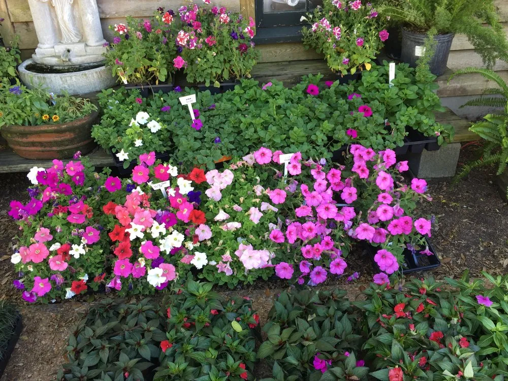 Trusted landscape installation experts serving Natchez, MS - Live Oak Landscapes, Nursery & Garden Center