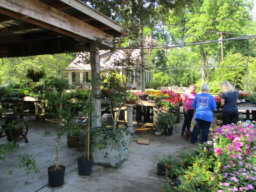 Trusted landscape design for year-round maintenance in Natchez, MS by Live Oak Landscapes, Nursery & Garden Center