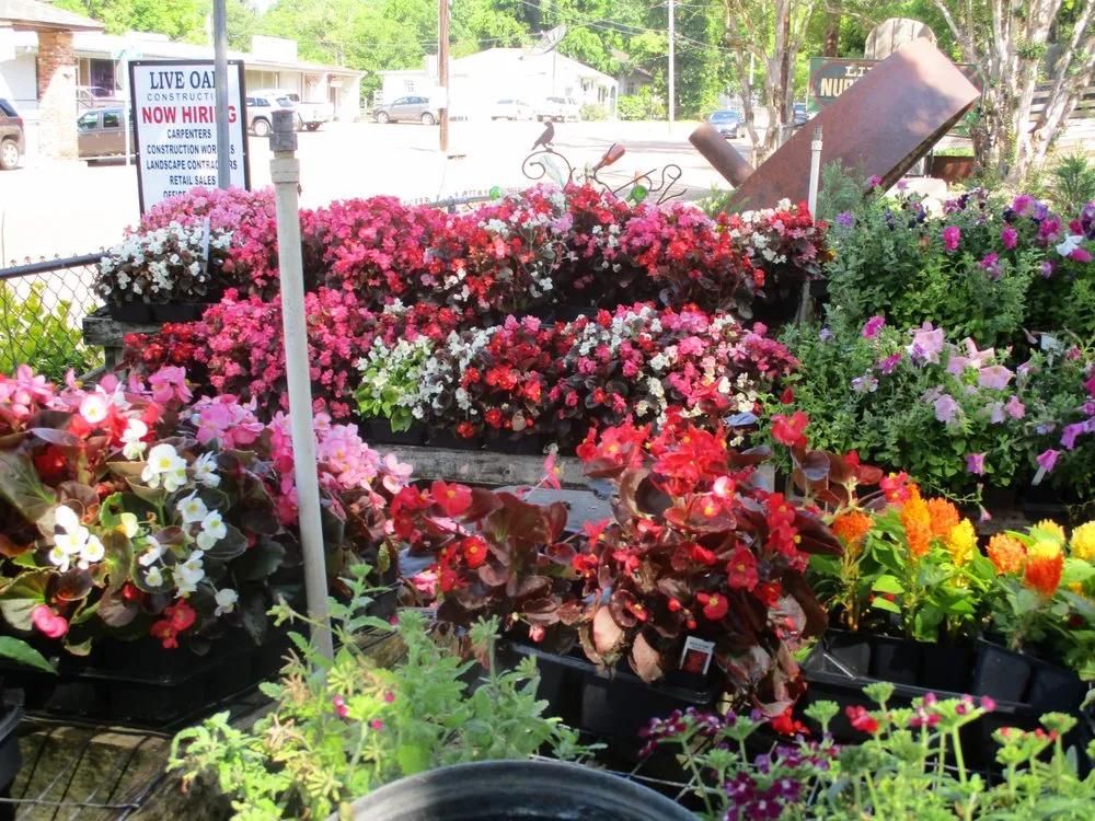 Trusted residential landscaping in Natchez, MS by Live Oak Landscapes, Nursery & Garden Center