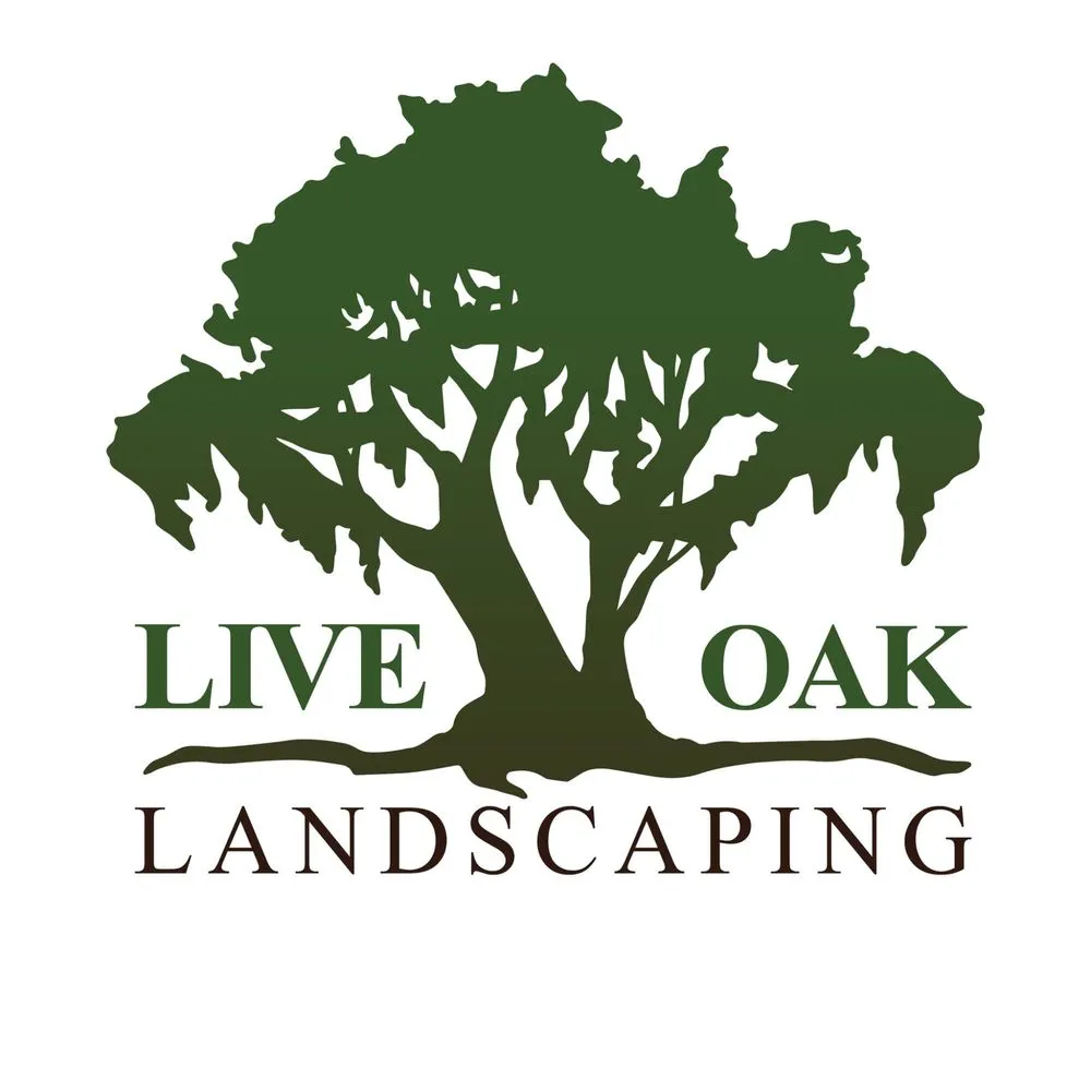 Expert yard cleanup service in Savannah, GA by Live Oak Landscaping