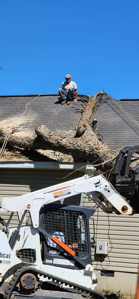 Trusted residential landscaping experts serving Gilbert, SC - Live Oak Services