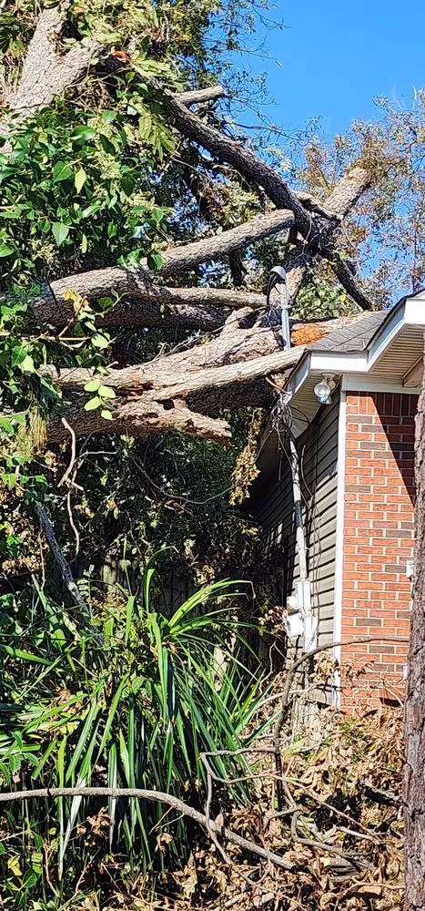 Local landscaping services for residential properties across Gilbert, SC - Live Oak Services