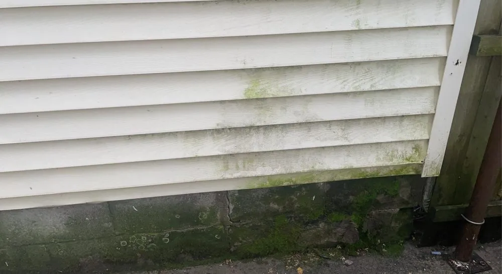 Top-rated lawn mowing service with custom design in Troy, OH by Live United Lawns